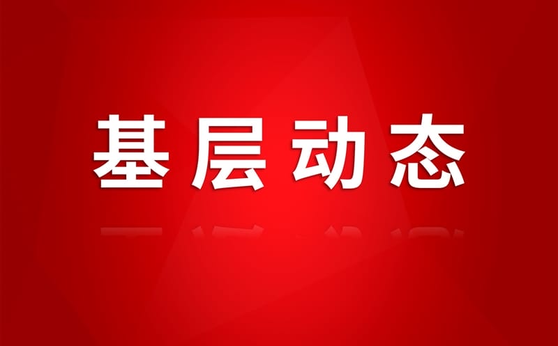 区调队（四川黄金集团）离退休党总支专题学习宣传相关执律例则
