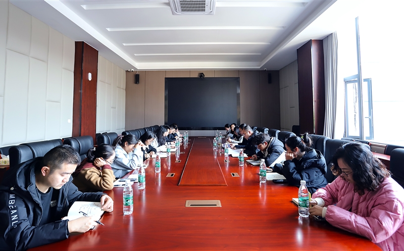 攀西公司召开财务事情例会暨年度决算安排会
