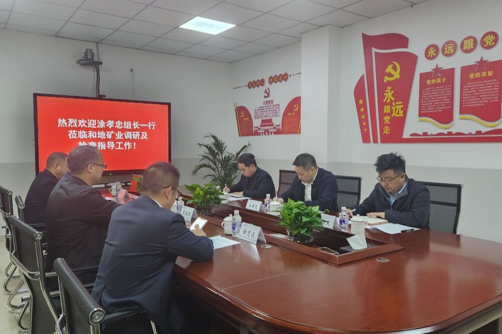 强化党建引领 深化制度建设 推动高质量生长——省js6666zs金沙投资集团向导赴和地矿业开展专题调研