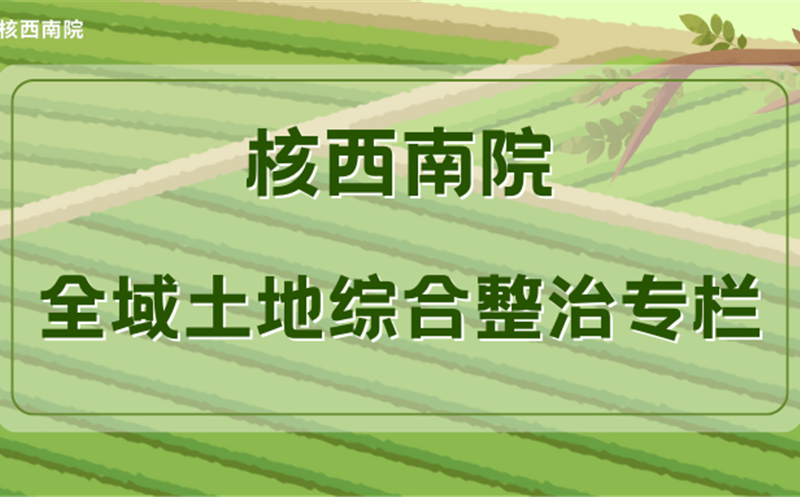 从墟落生长“妄想者”到城乡融合“策划师”——青年先锋胡获的振兴之路