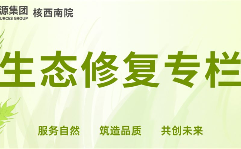 初心如磐绽青春 协同攻坚创佳绩丨核西南院冯瑞的生态修复实干答卷