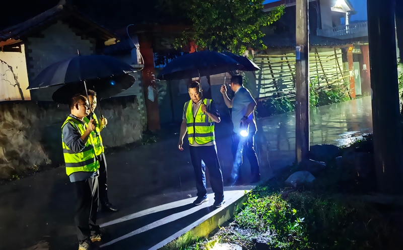 攀西公司向导督导检查防汛防地灾事情
