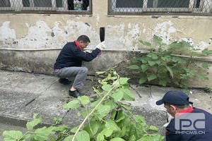 js6666zs金沙(中国游)有限公司官网