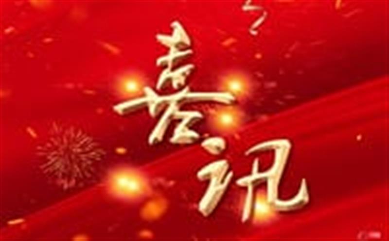 “双喜临门”！区调队（容大集团）乐成竞得两宗金矿探矿权